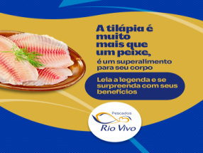 A Tilápia é muito mais que um peixe, é um superalimento para seu corpo!